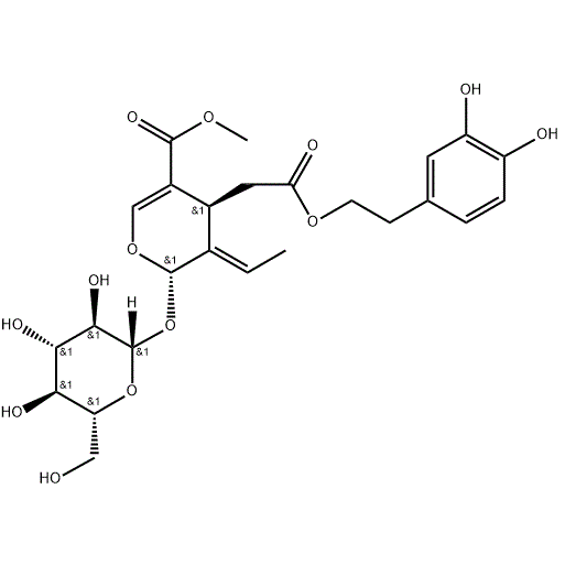 CAS NO.32619-42-4 Oleuropein