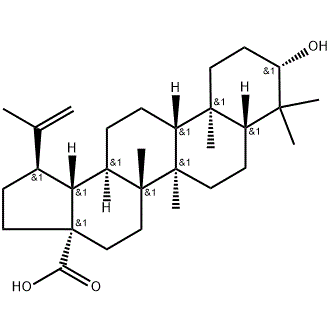 CAS NO.472-15-1 Betulinic acid