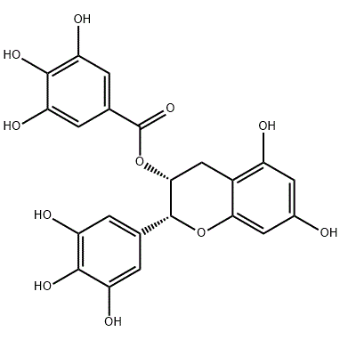 CAS NO.989-51-5 (-)-Epigallocatechin gallate